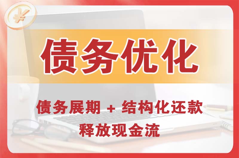固原债务优化