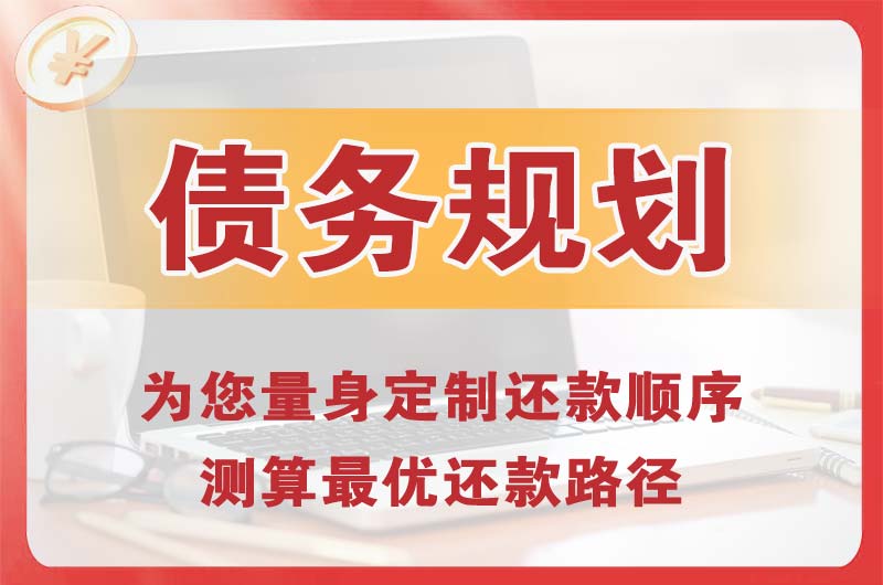 固原债务规划